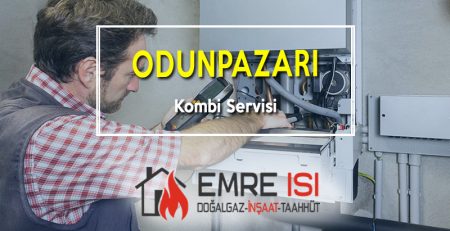 odunpazarı kombi servisi